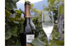Prosecco di Valdobbiadene - 3. ��st (slavn� italsk� �umiv� v�no)